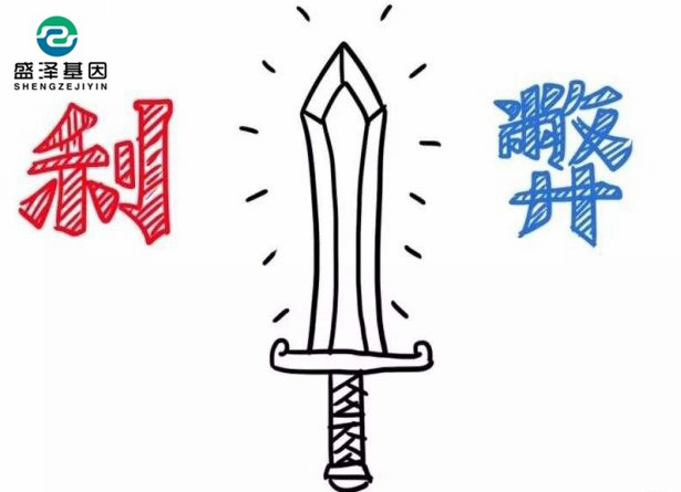 親子鑒定該不該背婚姻失敗的鍋?2 親子鑒定該不該背婚姻失敗的鍋?2