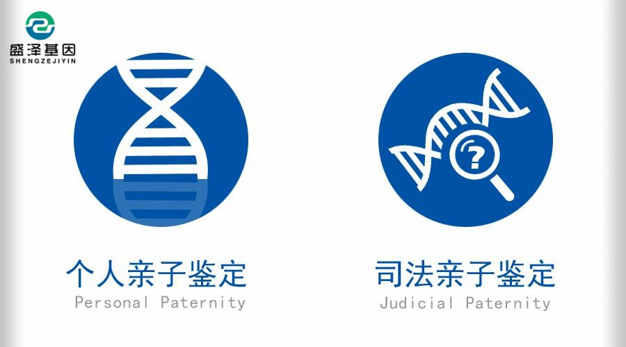 親子鑒定該不該背婚姻失敗的鍋?4 親子鑒定該不該背婚姻失敗的鍋?4