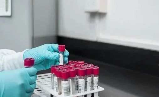 中山親子鑒定多久才能出結果？