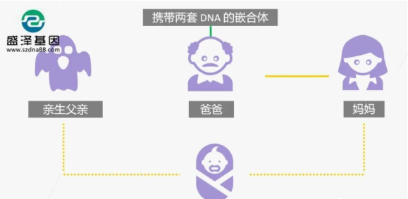 醫(yī)學(xué)怪病奇美拉現(xiàn)象:親自生未必是親生?你身體還住著另一個人? 醫(yī)學(xué)怪病奇美拉現(xiàn)象:親自生未必是親生?你身體還住著另一個人?