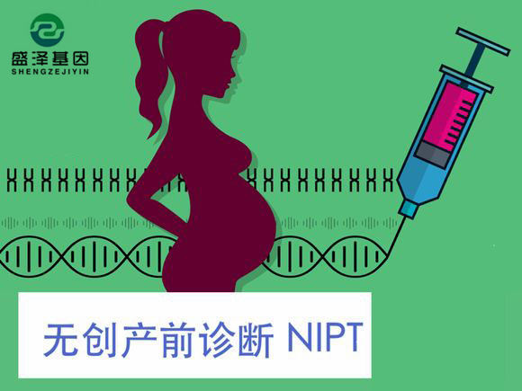 胎兒是否有遺傳病?孕6周抽血就能查!2 胎兒是否有遺傳病?孕6周抽血就能查!2