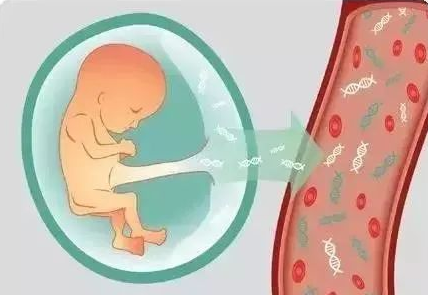 無創(chuàng)產(chǎn)前基因檢測（NIPT）到底有什么作用？