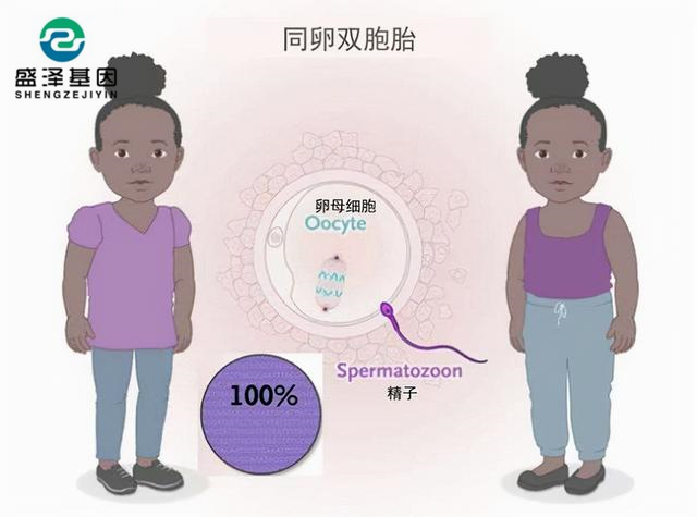 廣東男子做親子鑒定,竟發現自家雙胞胎有一個不是自己的?! 廣東男子做親子鑒定,竟發現自家雙胞胎有一個不是自己的?!