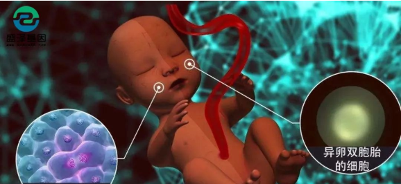 醫(yī)學(xué)怪病奇美拉現(xiàn)象:親自生未必是親生?你身體還住著另一個人? 醫(yī)學(xué)怪病奇美拉現(xiàn)象:親自生未必是親生?你身體還住著另一個人?