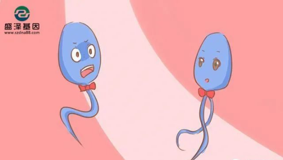 醫(yī)學(xué)怪病奇美拉現(xiàn)象:親自生未必是親生?你身體還住著另一個人? 醫(yī)學(xué)怪病奇美拉現(xiàn)象:親自生未必是親生?你身體還住著另一個人?