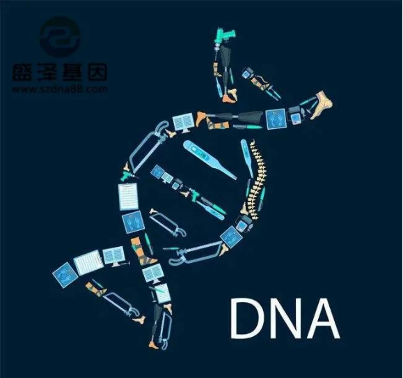 醫(yī)學(xué)怪病奇美拉現(xiàn)象:親自生未必是親生?你身體還住著另一個人? 醫(yī)學(xué)怪病奇美拉現(xiàn)象:親自生未必是親生?你身體還住著另一個人?