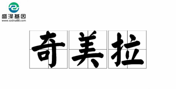 醫(yī)學(xué)怪病奇美拉現(xiàn)象:親自生未必是親生?你身體還住著另一個人? 醫(yī)學(xué)怪病奇美拉現(xiàn)象:親自生未必是親生?你身體還住著另一個人?