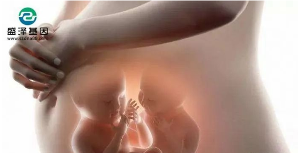 醫(yī)學(xué)怪病奇美拉現(xiàn)象:親自生未必是親生?你身體還住著另一個人? 醫(yī)學(xué)怪病奇美拉現(xiàn)象:親自生未必是親生?你身體還住著另一個人?