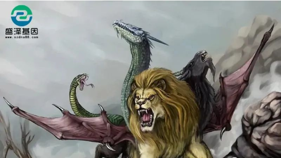 醫(yī)學(xué)怪病奇美拉現(xiàn)象:親自生未必是親生?你身體還住著另一個人? 醫(yī)學(xué)怪病奇美拉現(xiàn)象:親自生未必是親生?你身體還住著另一個人?