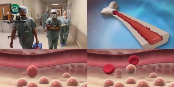 醫(yī)學(xué)怪病奇美拉現(xiàn)象:親自生未必是親生?你身體還住著另一個人? 醫(yī)學(xué)怪病奇美拉現(xiàn)象:親自生未必是親生?你身體還住著另一個人?