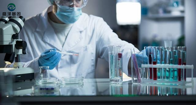 中山需要做高考升學親子鑒定的小伙伴看過來！