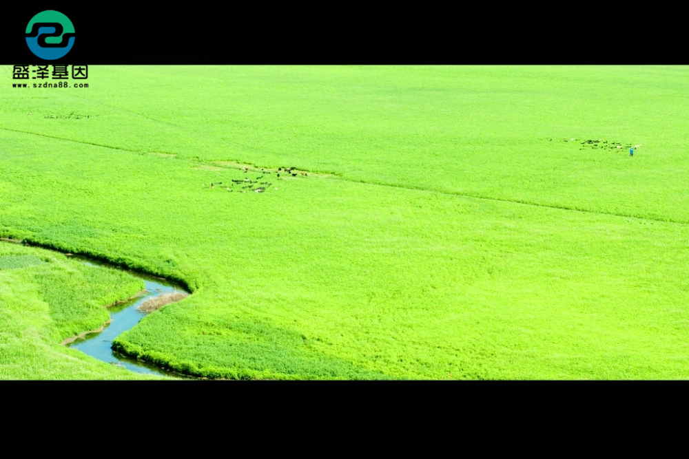 親子鑒定真實(shí)故事：4歲兒子非親生，他戴綠帽子到岳父家當(dāng)面對(duì)質(zhì)