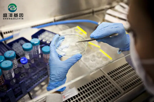 法醫(yī)損傷程度司法鑒定:老百姓卷入相關(guān)案件需要鑒定怎么辦? 法醫(yī)損傷程度司法鑒定:老百姓卷入相關(guān)案件需要鑒定怎么辦?