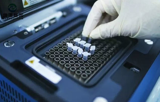 中山司法親子鑒定醫院咨詢：醫院做親子鑒定掛什么科？