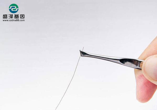 偷拿女兒頭發做親子鑒定，結果并非親生，他一怒將前妻告上法庭！