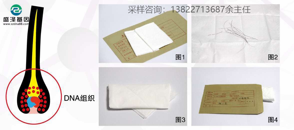 個人親子鑒定簡單采樣方法指導（血痕、口腔拭子、毛發）