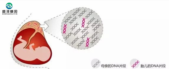 中山隱私親子鑒定所：單眼皮基因夫妻能生出雙眼皮寶寶嗎？