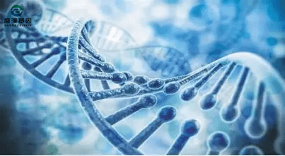 明明孩子是自己生出來的,親子基因鑒定卻非親生? 明明孩子是自己生出來的,親子基因鑒定卻非親生?