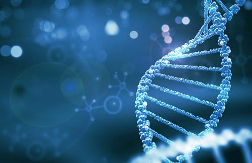 結(jié)婚后男方要求女方做親子鑒定是要確定撫養(yǎng)的是自己的孩子 結(jié)婚后男方要求女方做親子鑒定是要確定撫養(yǎng)的是自己的孩子