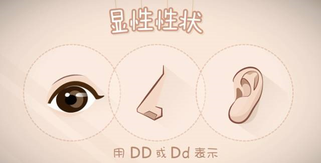 親子鑒定到底是個啥？怎么個鑒定法？