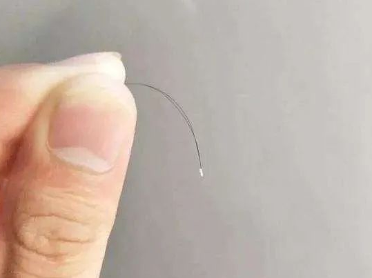 【科普】毛發親子鑒定樣本為什么一定要帶根部毛囊？