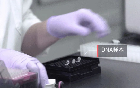 人員如何快速采樣?鑒定機(jī)構(gòu)對收到的親子鑒定樣本負(fù)責(zé) 人員如何快速采樣?鑒定機(jī)構(gòu)對收到的親子鑒定樣本負(fù)責(zé)