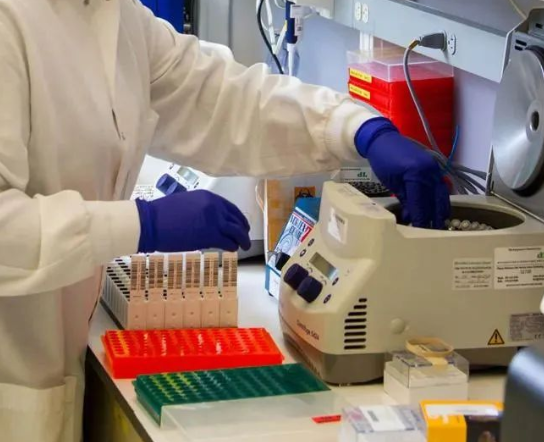 人員如何快速采樣？鑒定機構(gòu)對收到的親子鑒定樣本負責