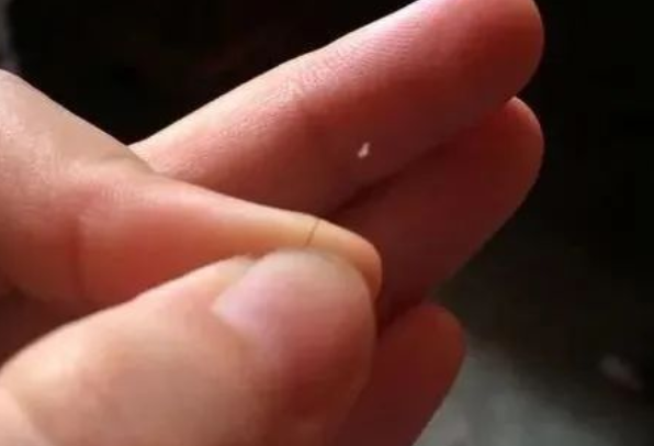 掉落的毛囊毛發可以拿去做染色體親子鑒定嗎？