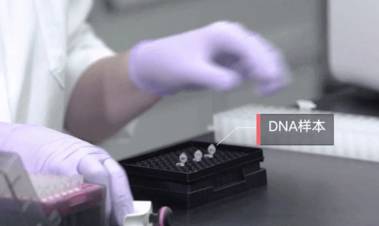 親子鑒定檢驗血型血痕，被鑒定人應了解自己或近親屬有無遺傳病史