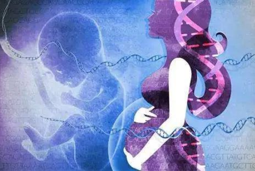 孕婦懷孕幾個(gè)月可以做dna親子鑒定?對(duì)胎兒有傷害嗎? 孕婦懷孕幾個(gè)月可以做dna親子鑒定?對(duì)胎兒有傷害嗎?