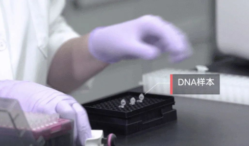 做親子鑒定需要申請(qǐng)嗎?如何親子鑒定? 做親子鑒定需要申請(qǐng)嗎?如何親子鑒定?