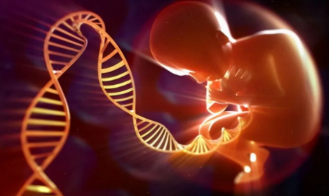 孕期做胎兒親子鑒定合適嗎?孕期有哪些胎兒親子鑒定方法? 孕期做胎兒親子鑒定合適嗎?孕期有哪些胎兒親子鑒定方法?