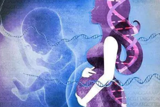 為什么孕婦可以通過靜脈血親子鑒定胎兒? 為什么孕婦可以通過靜脈血親子鑒定胎兒?