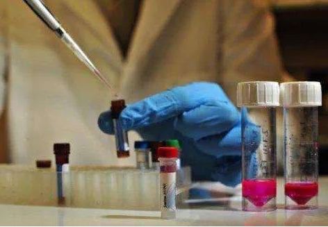 隱私親子鑒定，讓你和妻子的感情“止于”懷疑！