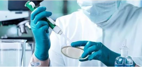 除了血液人的唾液能做親子鑒定嗎？能親子鑒定人的遺傳病史嗎？