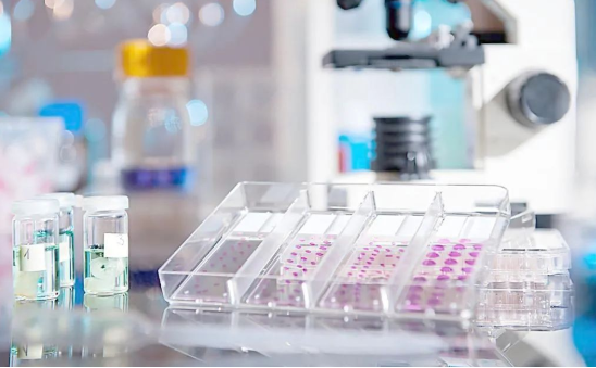 想帶小孩去做親子鑒定該如何取證呢？用紗布或棉簽等采集樣本