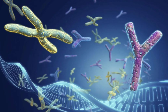 梁老伯:爺爺跟孫子可以做親緣關(guān)系鑒定嗎?多少錢? 梁老伯:爺爺跟孫子可以做親緣關(guān)系鑒定嗎?多少錢?