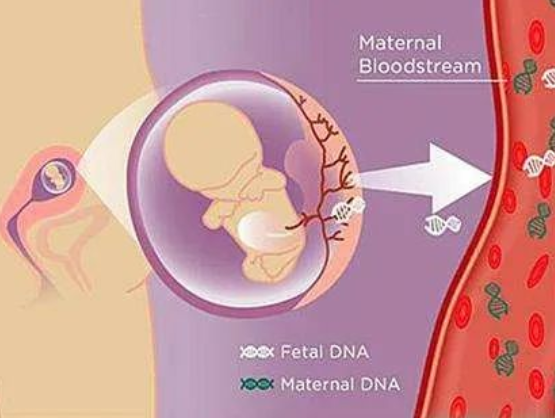 孕媽沈女士求助：懷孕胎兒親子鑒定準確嗎？