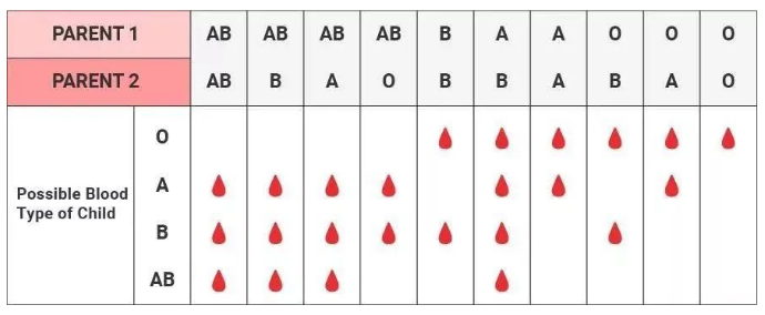 對比血清分類學(xué)測試和白細(xì)胞抗原測試，親子（緣）鑒定靠不靠譜？