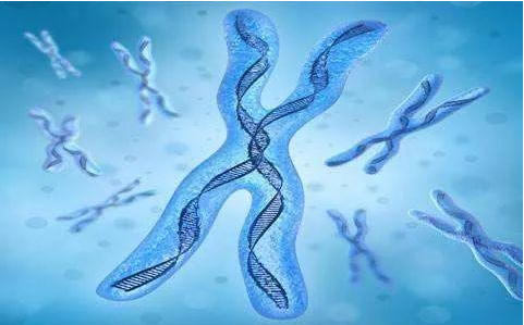 中山司法親子鑒定中心：鑒定親子關(guān)系哪種方法是最有效的？