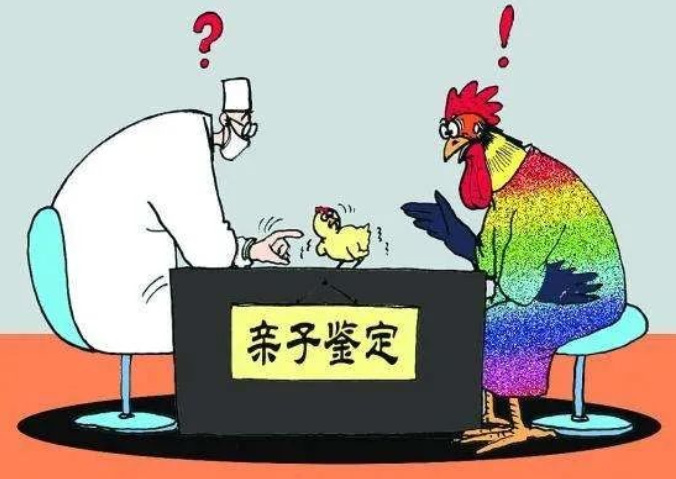 親子鑒定人數(shù)逐年上升，透過現(xiàn)象看本質(zhì)：親子鑒定折射信任危機(jī)