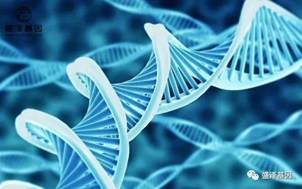 在中山哪里可以做無創(chuàng)孕期胎兒親子鑒定