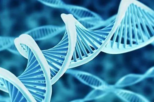 癌癥遺傳基因檢測