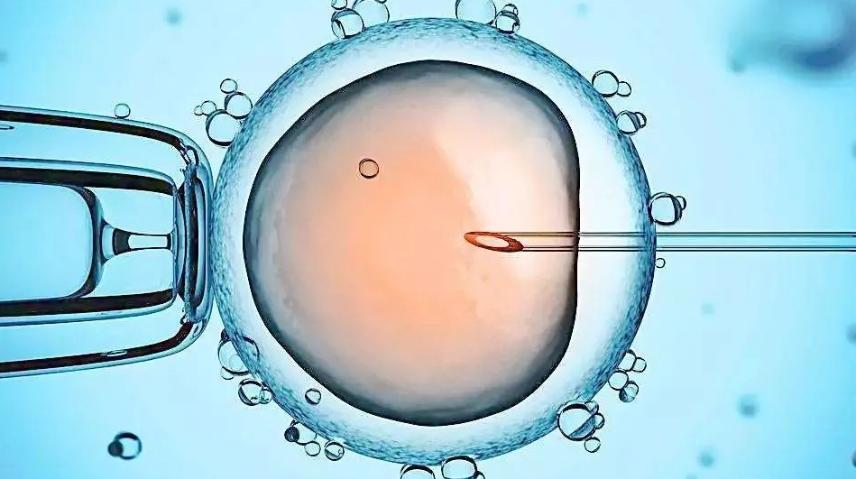 第三代試管咨詢 第三代試管咨詢
