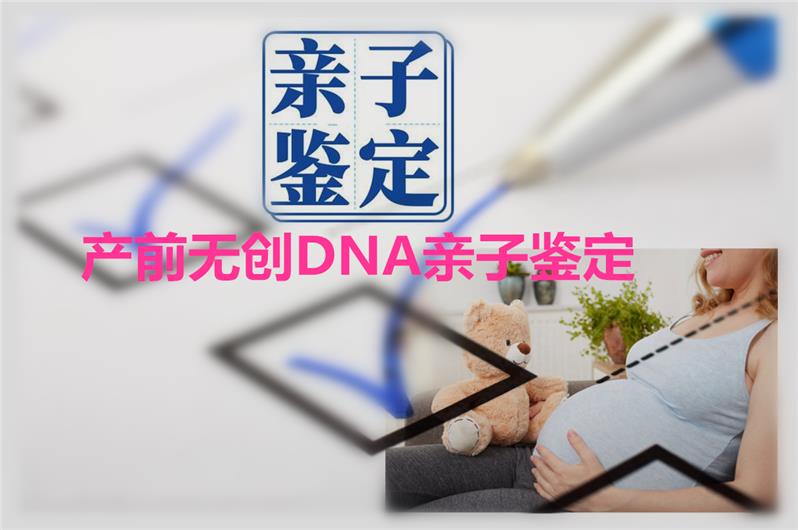 中山正規親子鑒定中心地址在哪里？