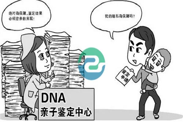 不能去大醫院做中山親子鑒定嗎？