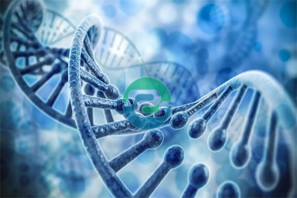 真的要親自去做中山親子鑒定嗎？