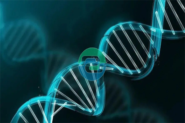 中山親子鑒定費(fèi)用因多種因素而異！