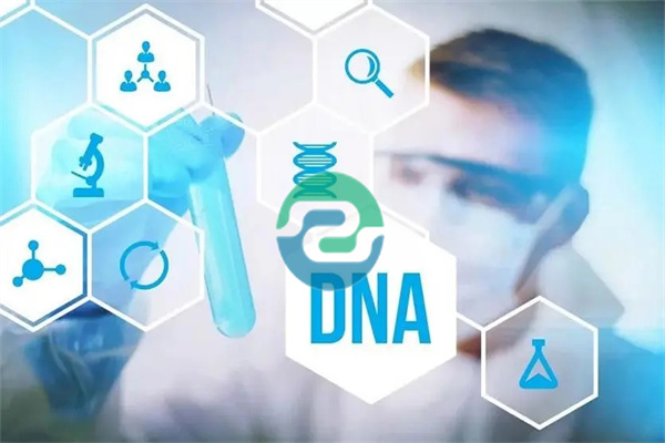 如何保證中山親子鑒定結(jié)果可靠？