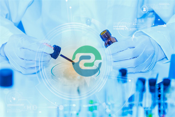 中山親子鑒定可以分為 私人親子鑒定和戶口親子鑒定